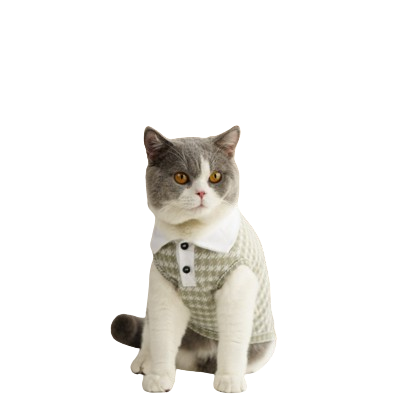 Maven Sleeveless Top