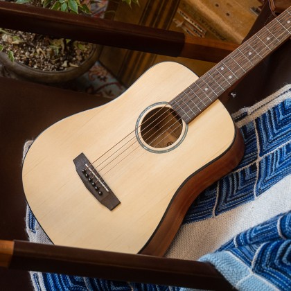 Accoustic Electric AD-Mini E-OP 2