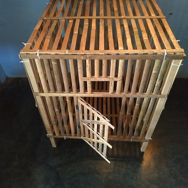  Kandang Ayam Bambu Kotak