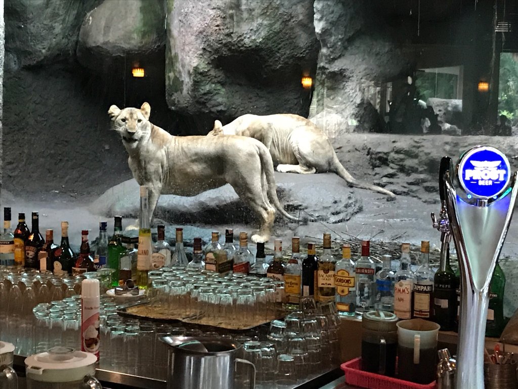 Tsavo Lion Restaurant 3