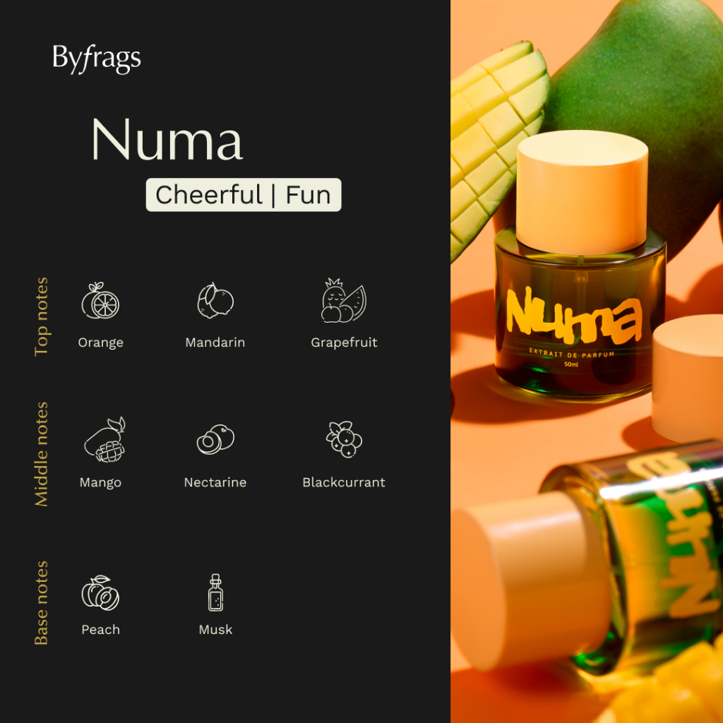 Fabs.Co ByFrags Numa