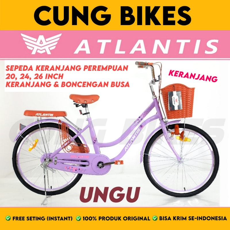 Phoenix Sepeda Keranjang Dewasa NP-8825 AT