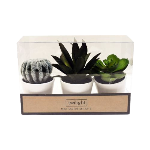 Tanaman Artifisial 7x7x15 Cm Set 3 Pcs Kaktus Y12