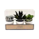Informa Tanaman Artifisial 7x7x15 Cm Set 3 Pcs Kaktus Y12 1