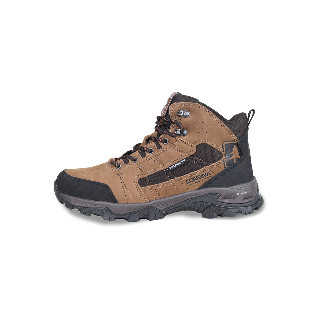 CONSINA ASKOLE