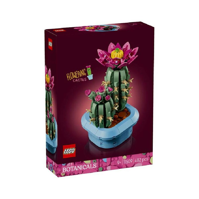 Botanicals Flowering Cactus 1