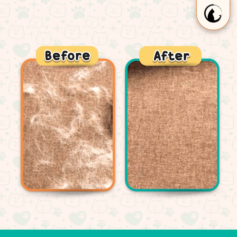 Care Pet Hair Removal 5