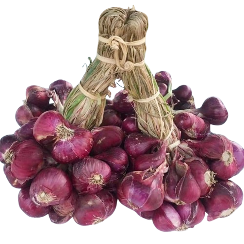 BEJO Seeds Benih Bawang Merah Maserati F1 1