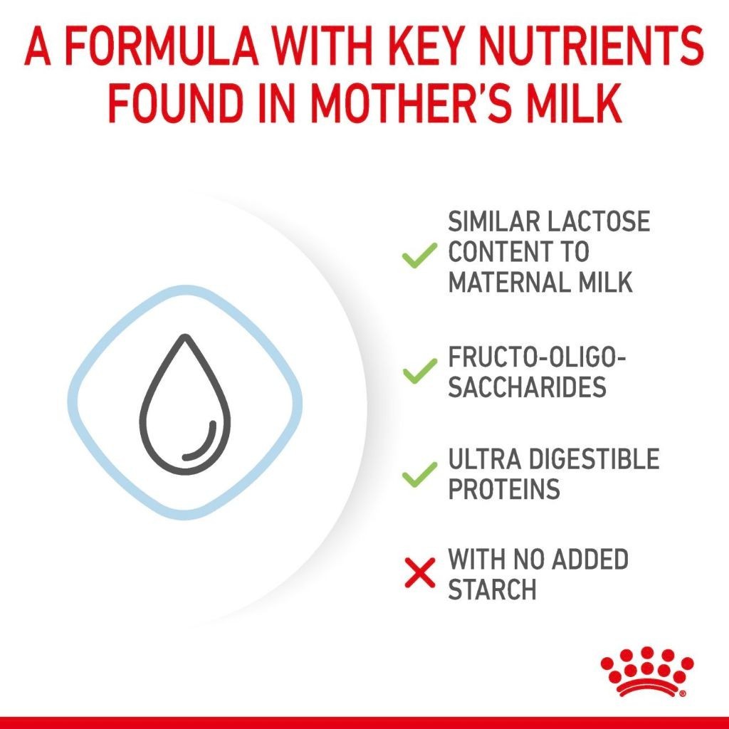 Royal Canin Babydog Milk 3