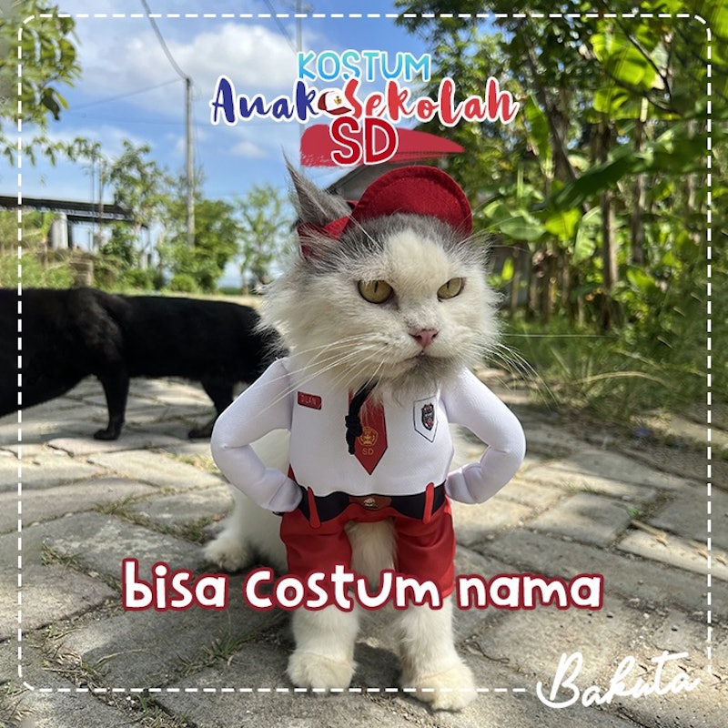 Baju Kucing Kostum Anak Sekolah 4