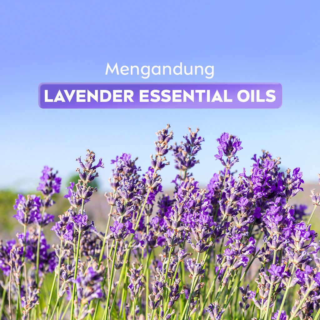 Beiersdorf NIVEA Overnight Lip Care 