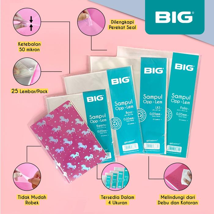 BIG Sampul Buku Plastik 3