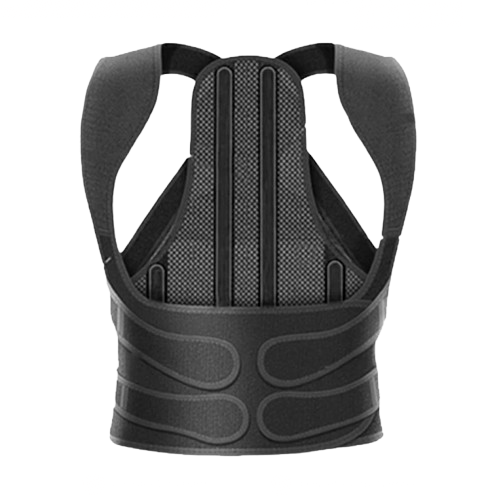 BODYMASTER Back posture  1