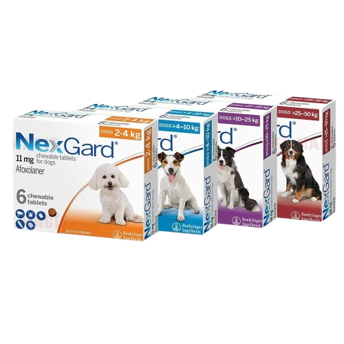 NexGard® Chewables Tablets for Dogs 1