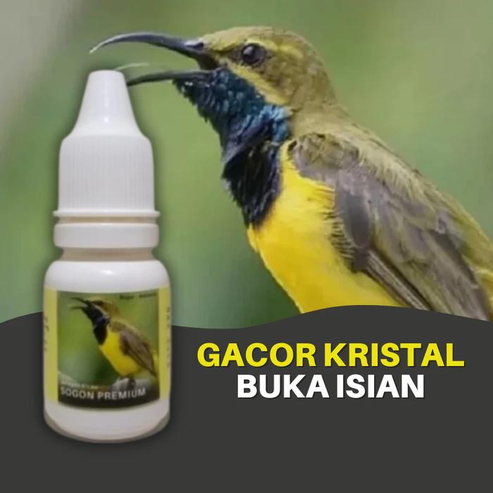  Sogon Vitamin Burung Premium