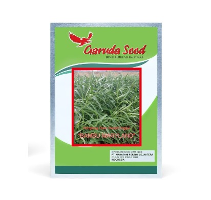 Garuda Seed - Benih Kangkung Bambu Maryland