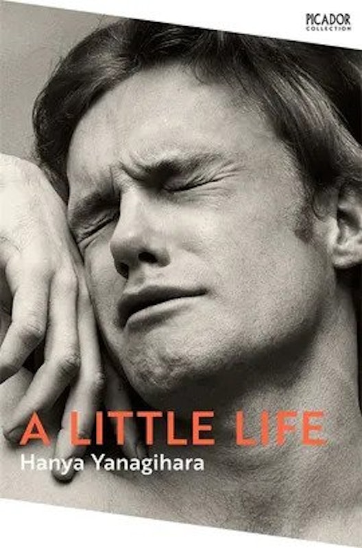Hanya Yanagihara - A Little Life 1