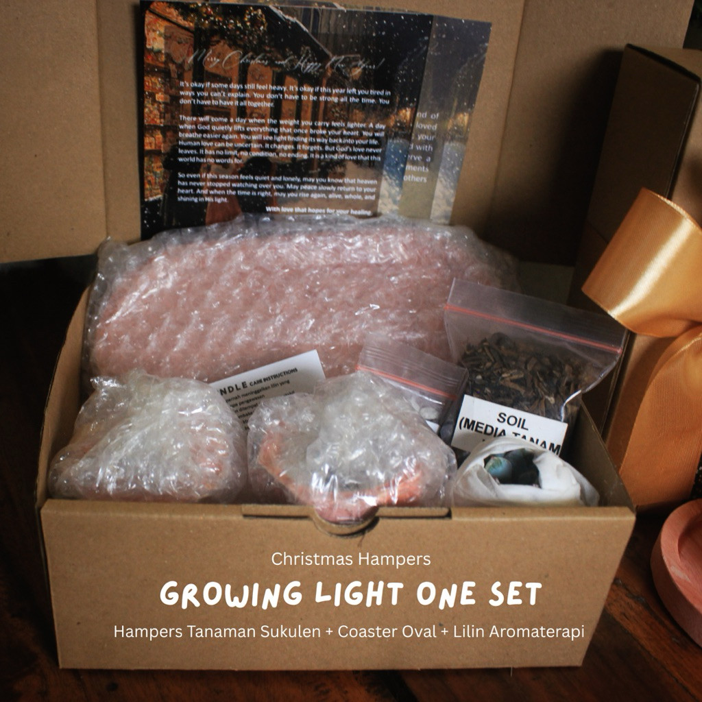 Sono Kaktus Growing Light One Set 