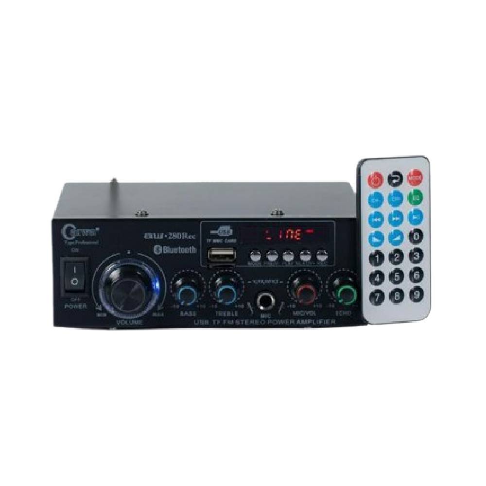 Caiwa Profesional Karaoke Amplifier AC/DC 1