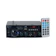 null Caiwa Profesional Karaoke Amplifier AC/DC 1