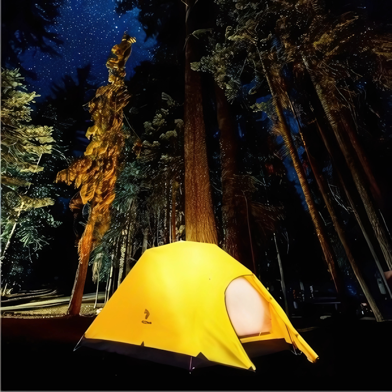 Hillman Tent Smart 2P 5