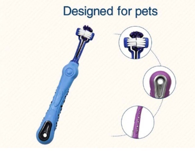  Sikat Gigi Anjing Kucing 3 Sisi