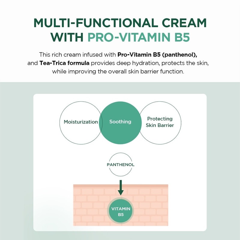 Madagascar Centella Tea-Trica B5 Cream 4