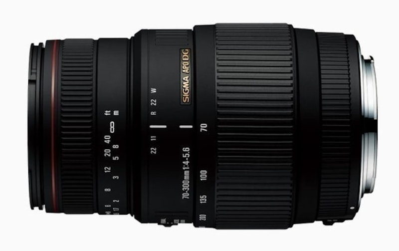 APO 70-300mm F4-5.6 DG MACRO 1