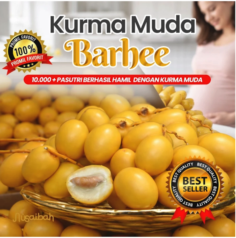 Kurma Muda Barhee 2