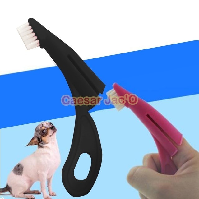  Sikat Gigi Hewan Anjing Kucing Kelinci