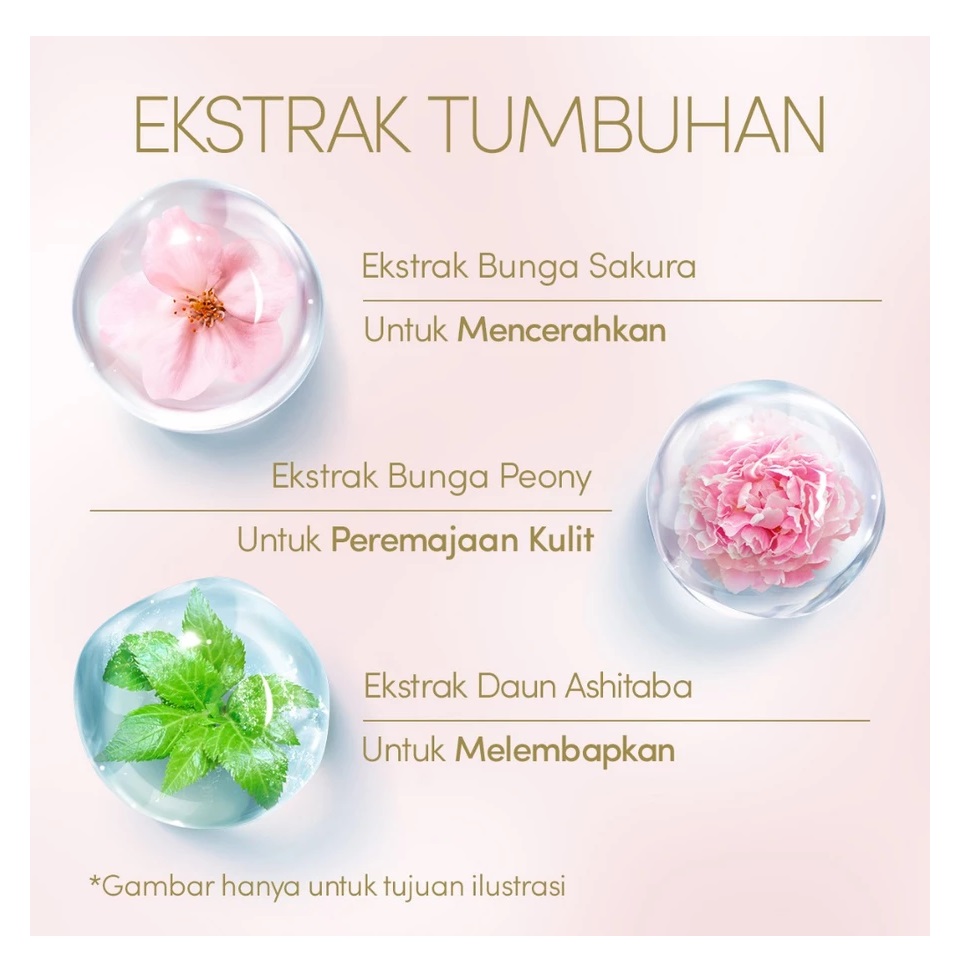 Shiseido Co., Ltd. ANESSA Perfect UV Sunscreen Mild Milk SPF 50+ PA++++