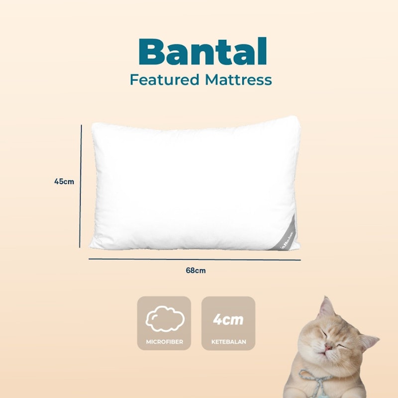 INTHEBOX Bantal 2
