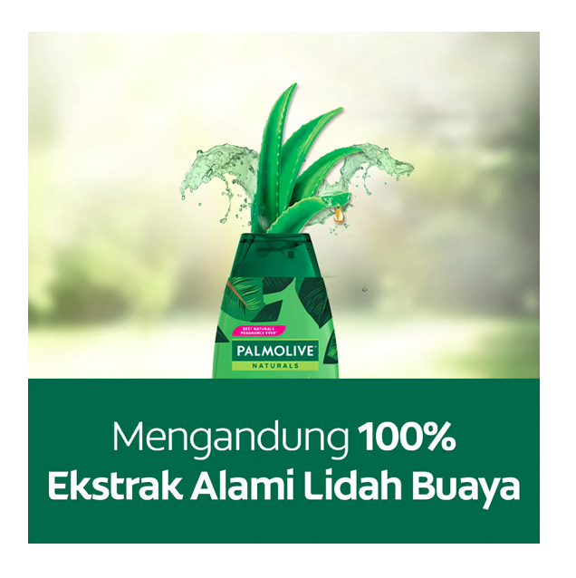 Colgate-Palmolive Palmolive Naturals Shampoo & Conditioner Ultra Smooth