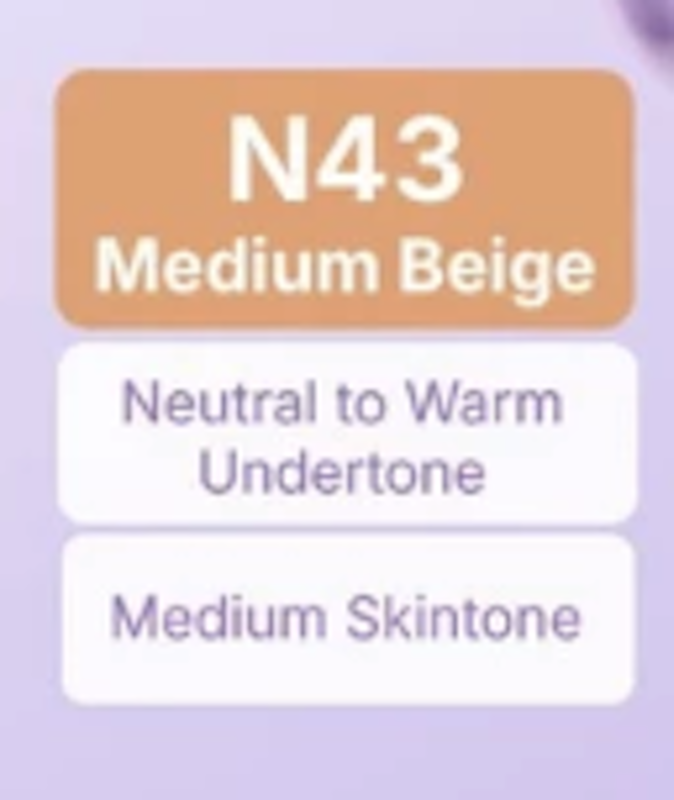 #Filter_Free Airy Stay Two Way Cake N43 Medium Beige 3