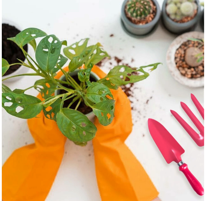 Viva Tehnik Mandiri Kenmaster Paket Berkebun BUND-0224