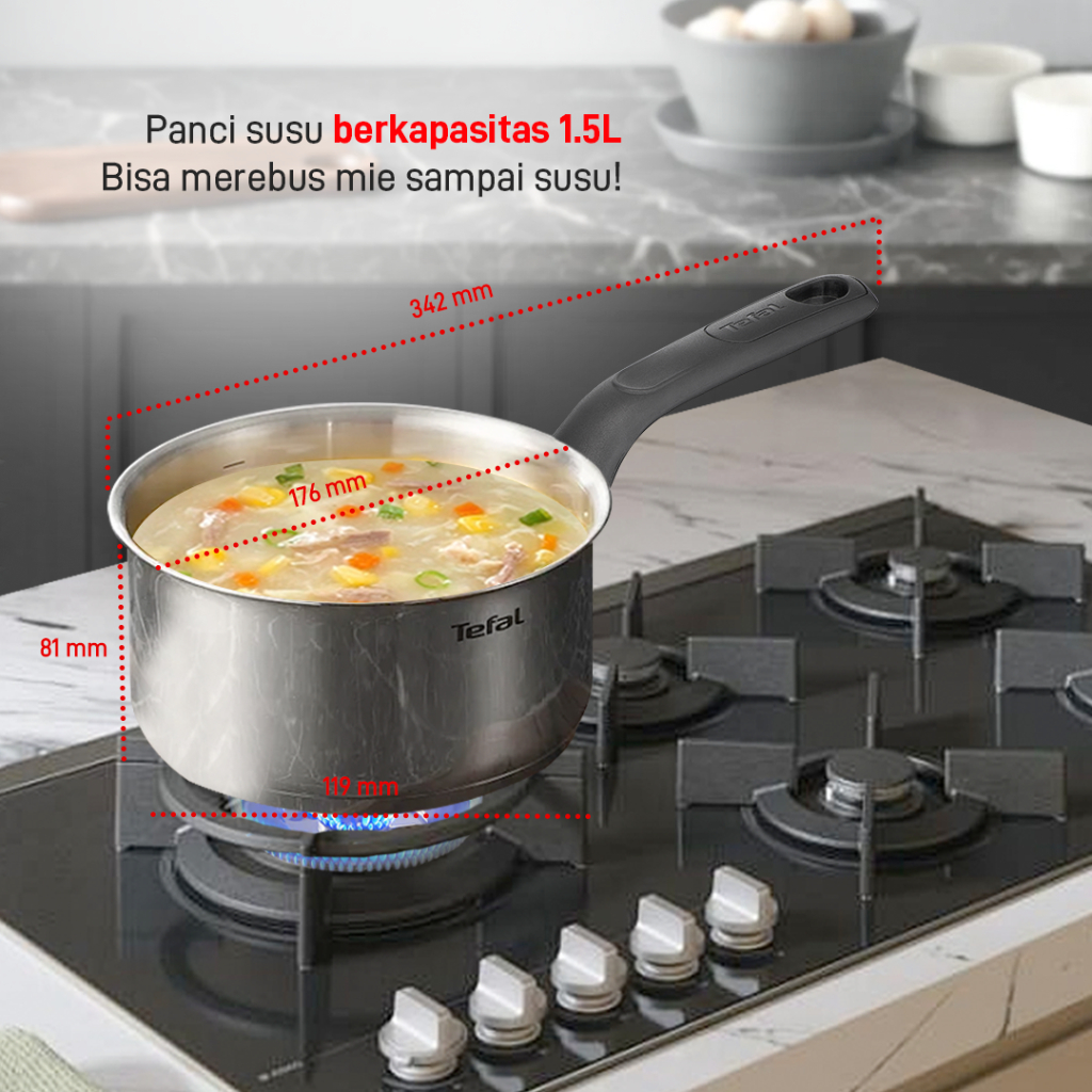 Groupe SEB Indonesia MSD Tefal Saucepan Stainless Steel Full 16 cm