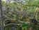 null Bobocabin The Tavia Puncak 1