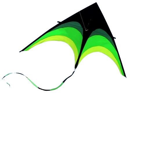 Sport Beach Fly Kite 1