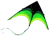 WieKite Sport Beach Fly Kite 1