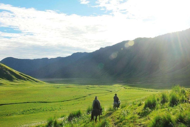 Golden Sunrise Gunung Bromo 3