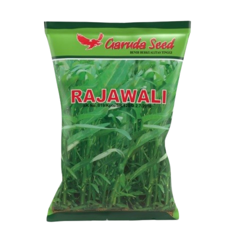 Mahatani Pertiwi Sejahtera Garuda Seed - Kangkung Unggul "RAJAWALI"