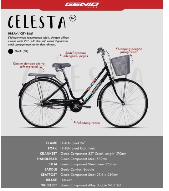 Sepeda Bersama Indonesia Genio Celesta