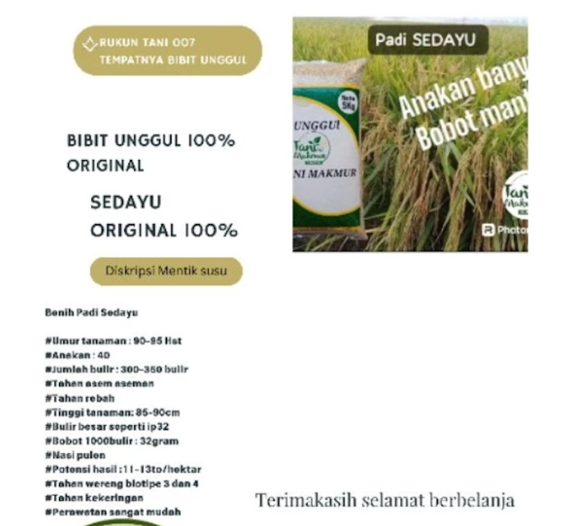 Tani Makmur Sejahtera Bibit Padi Sedayu 5 kg 2