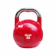 GENETIX FIT Competition Kettlebell 1
