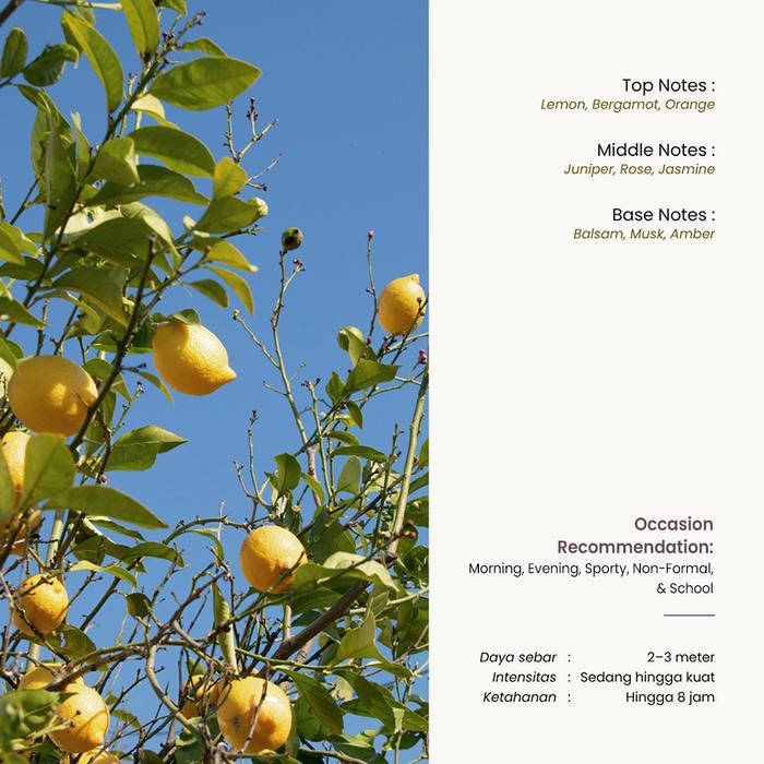 Anscentry Anscentry Timeless Zest