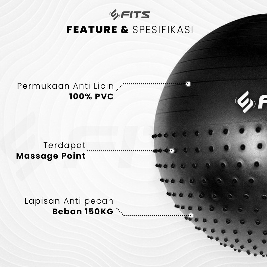 Dynamo Media Network FITS Gym Ball Half Massage Point