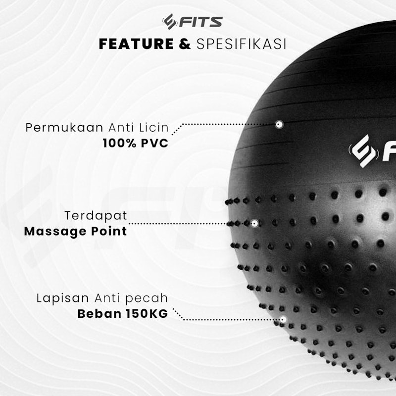 FITS Gym Ball Half Massage Point 3