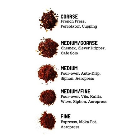 Sentra Kopi Sentra Kopi Kopi Arabika Aceh Gayo