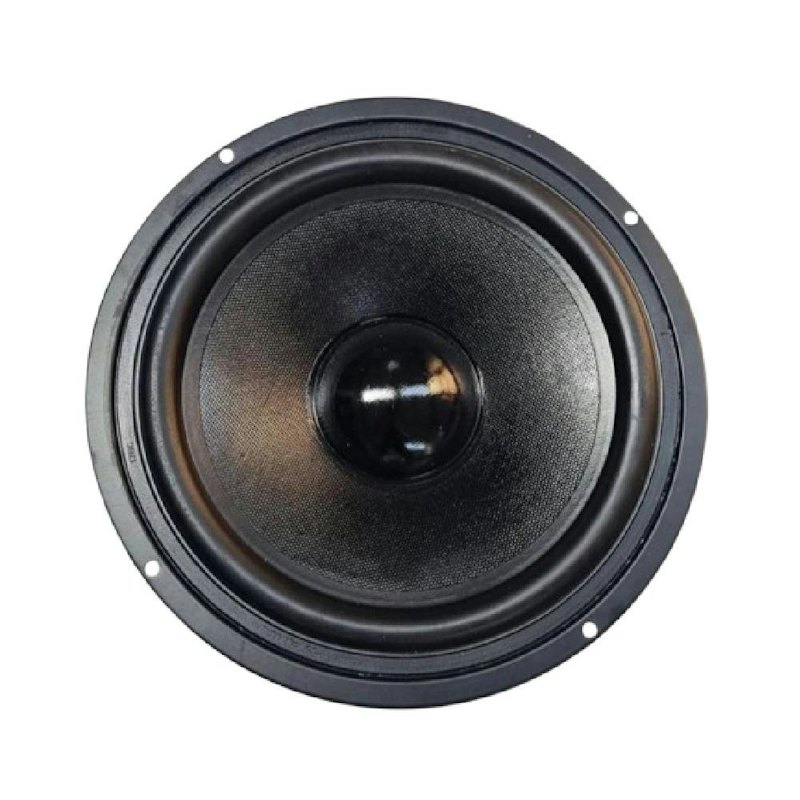 Elsound Audio Speaker Woofer 100 Watt 8" 1