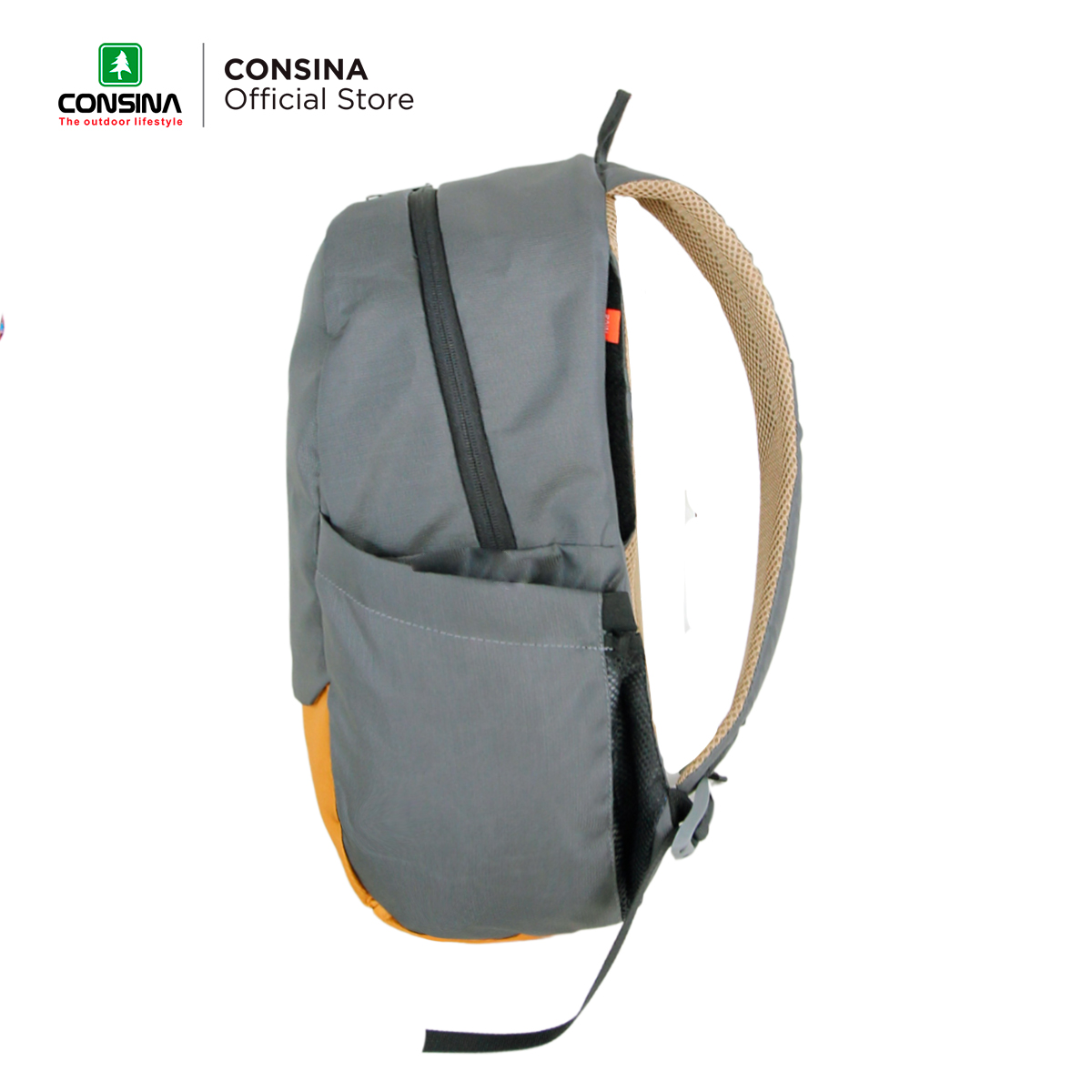 CONSINA HALLSTATT 2